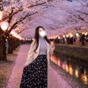 ヒメ日記 2026/03/25 22:39 投稿 宝生雫 ローテンブルク