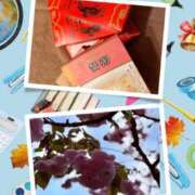 ヒメ日記 2026/04/02 22:39 投稿 宝生雫 ローテンブルク