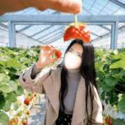 ヒメ日記 2026/04/04 00:15 投稿 宝生雫 ローテンブルク