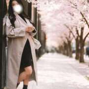 ヒメ日記 2026/04/04 09:08 投稿 宝生雫 ローテンブルク