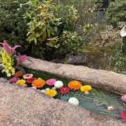 ヒメ日記 2026/04/10 21:46 投稿 宝生雫 ローテンブルク