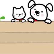 ヒメ日記 2026/05/11 16:30 投稿 宝生雫 ローテンブルク