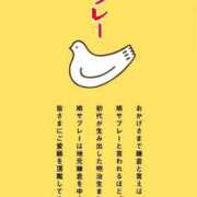 ヒメ日記 2026/09/29 13:30 投稿 宝生雫 ローテンブルク