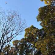 ヒメ日記 2025/01/17 08:19 投稿 雪平奈々 ローテンブルク