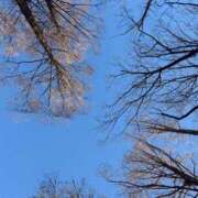 ヒメ日記 2025/02/09 08:43 投稿 雪平奈々 ローテンブルク