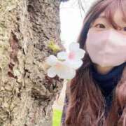 ヒメ日記 2025/03/31 08:13 投稿 雪平奈々 ローテンブルク