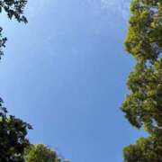 ヒメ日記 2025/06/18 07:28 投稿 雪平奈々 ローテンブルク