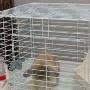 ヒメ日記 2025/06/21 06:36 投稿 雪平奈々 ローテンブルク