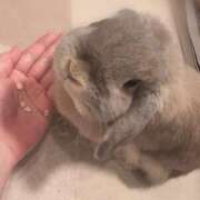 ヒメ日記 2025/06/28 18:48 投稿 雪平奈々 ローテンブルク