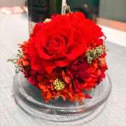 ヒメ日記 2025/07/03 08:50 投稿 雪平奈々 ローテンブルク