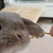 ヒメ日記 2025/07/16 11:14 投稿 雪平奈々 ローテンブルク