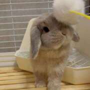 ヒメ日記 2025/07/19 20:58 投稿 雪平奈々 ローテンブルク