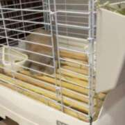 ヒメ日記 2025/07/28 15:25 投稿 雪平奈々 ローテンブルク