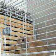 ヒメ日記 2025/08/05 10:09 投稿 雪平奈々 ローテンブルク