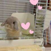 ヒメ日記 2025/08/20 14:36 投稿 雪平奈々 ローテンブルク