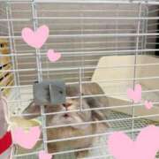 ヒメ日記 2025/09/05 17:32 投稿 雪平奈々 ローテンブルク