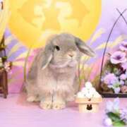 ヒメ日記 2025/09/08 14:03 投稿 雪平奈々 ローテンブルク