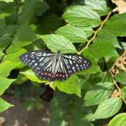 ヒメ日記 2025/09/22 12:54 投稿 雪平奈々 ローテンブルク
