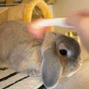 ヒメ日記 2025/09/22 19:14 投稿 雪平奈々 ローテンブルク