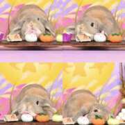 ヒメ日記 2025/09/25 20:59 投稿 雪平奈々 ローテンブルク