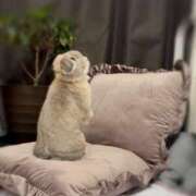 ヒメ日記 2025/10/09 09:39 投稿 雪平奈々 ローテンブルク