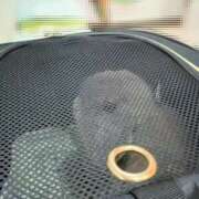 ヒメ日記 2025/10/12 08:16 投稿 雪平奈々 ローテンブルク