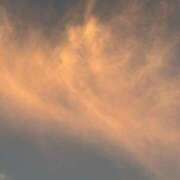 ヒメ日記 2025/10/22 13:11 投稿 雪平奈々 ローテンブルク