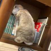 ヒメ日記 2025/10/25 14:04 投稿 雪平奈々 ローテンブルク