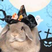 ヒメ日記 2025/10/28 21:25 投稿 雪平奈々 ローテンブルク