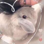 ヒメ日記 2025/11/18 20:27 投稿 雪平奈々 ローテンブルク