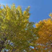 ヒメ日記 2025/11/21 14:08 投稿 雪平奈々 ローテンブルク