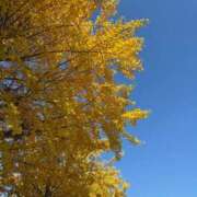 ヒメ日記 2025/11/26 13:05 投稿 雪平奈々 ローテンブルク