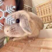 ヒメ日記 2025/12/27 07:31 投稿 雪平奈々 ローテンブルク