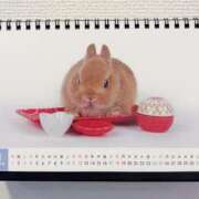 ヒメ日記 2026/01/06 11:19 投稿 雪平奈々 ローテンブルク