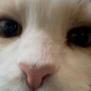 ヒメ日記 2026/02/05 12:46 投稿 雪平奈々 ローテンブルク