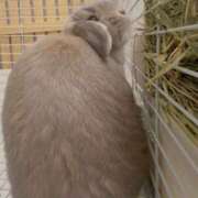 ヒメ日記 2026/02/08 09:01 投稿 雪平奈々 ローテンブルク