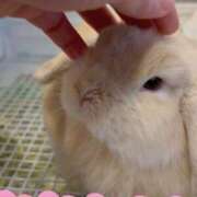 ヒメ日記 2026/02/14 16:09 投稿 雪平奈々 ローテンブルク