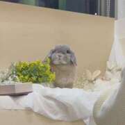 ヒメ日記 2026/02/15 19:16 投稿 雪平奈々 ローテンブルク