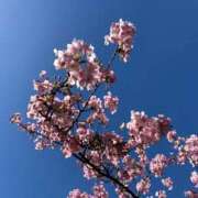 ヒメ日記 2026/02/20 19:19 投稿 雪平奈々 ローテンブルク