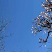 雪平奈々 今日の有難う ローテンブルク