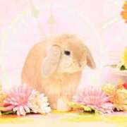 ヒメ日記 2026/03/01 10:23 投稿 雪平奈々 ローテンブルク