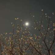 ヒメ日記 2026/03/01 18:50 投稿 雪平奈々 ローテンブルク