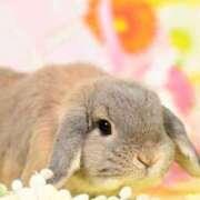 ヒメ日記 2026/03/02 20:05 投稿 雪平奈々 ローテンブルク