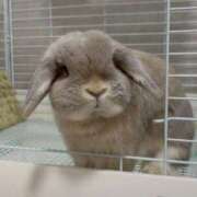 ヒメ日記 2026/03/09 12:13 投稿 雪平奈々 ローテンブルク