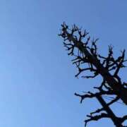 ヒメ日記 2026/03/10 20:11 投稿 雪平奈々 ローテンブルク