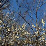 ヒメ日記 2026/03/11 19:33 投稿 雪平奈々 ローテンブルク