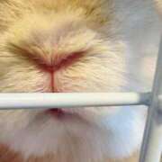 ヒメ日記 2026/03/13 16:04 投稿 雪平奈々 ローテンブルク