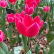 ヒメ日記 2026/03/19 16:09 投稿 雪平奈々 ローテンブルク