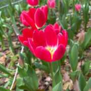 ヒメ日記 2026/03/20 22:03 投稿 雪平奈々 ローテンブルク