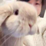 ヒメ日記 2026/03/21 07:31 投稿 雪平奈々 ローテンブルク